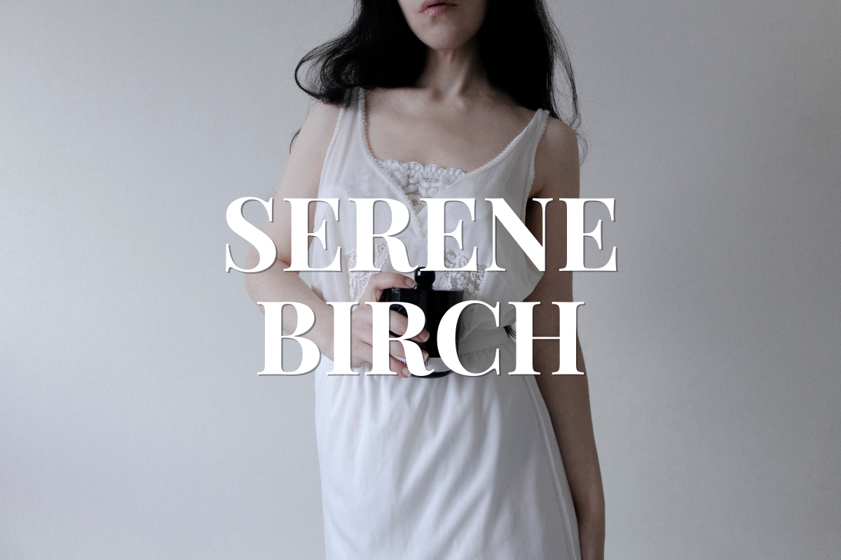 Serene Birch: A Quiet Winter Sanctuary