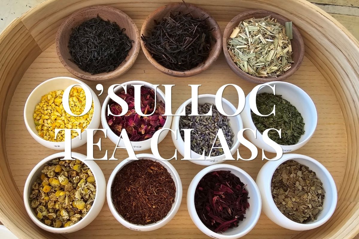Korean Tea Making Class at O'Sulloc Tea House Bukchon